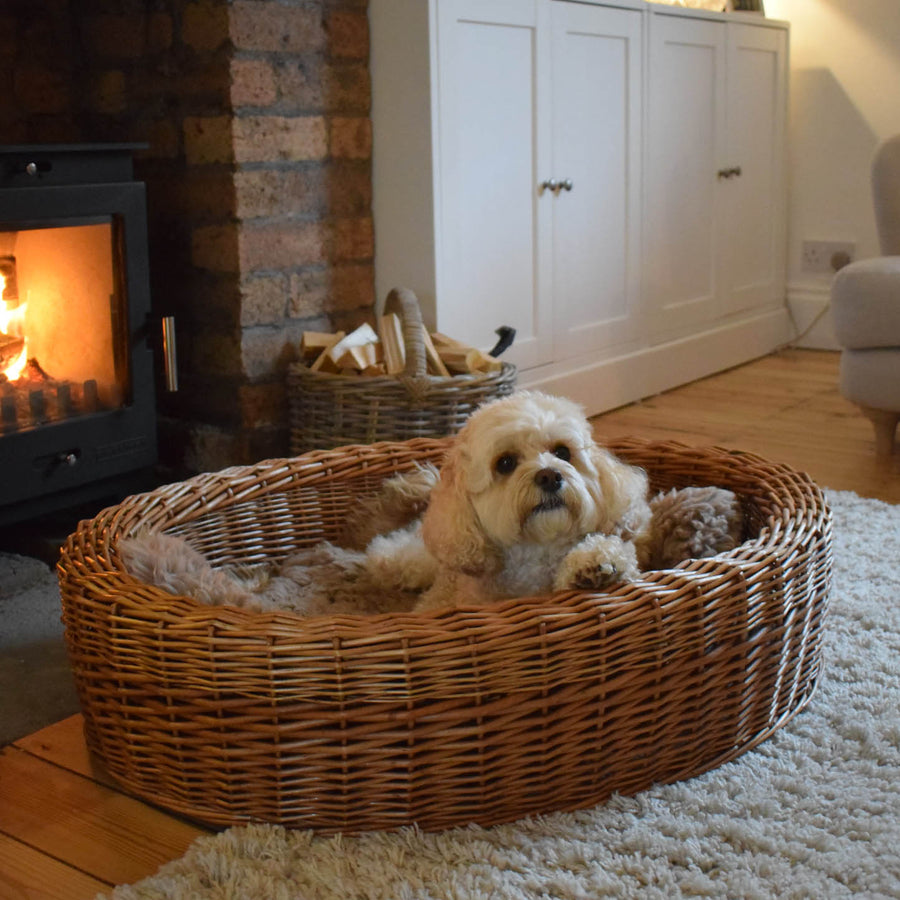 Best In Show - Darcy Wicker Pet Bed (Small)